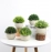 Simulated green plant desktop green plant mini potted simulation ornaments Simulated flower small potted landscape Nordic artificial flower potted flower arrangement