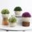 Simulated green plant desktop green plant mini potted simulation ornaments Simulated flower small potted landscape Nordic artificial flower potted flower arrangement